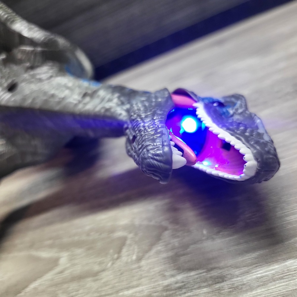 Remote Controlled Raptor No Remote! Tested! - Picture 16 of 16